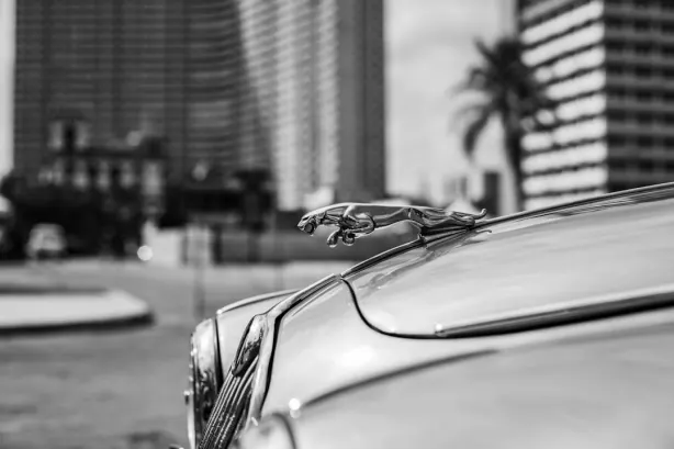 בטובט קזינו אפליקציית Android/iOS